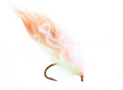 Sea Trout Sushi - Shrimp